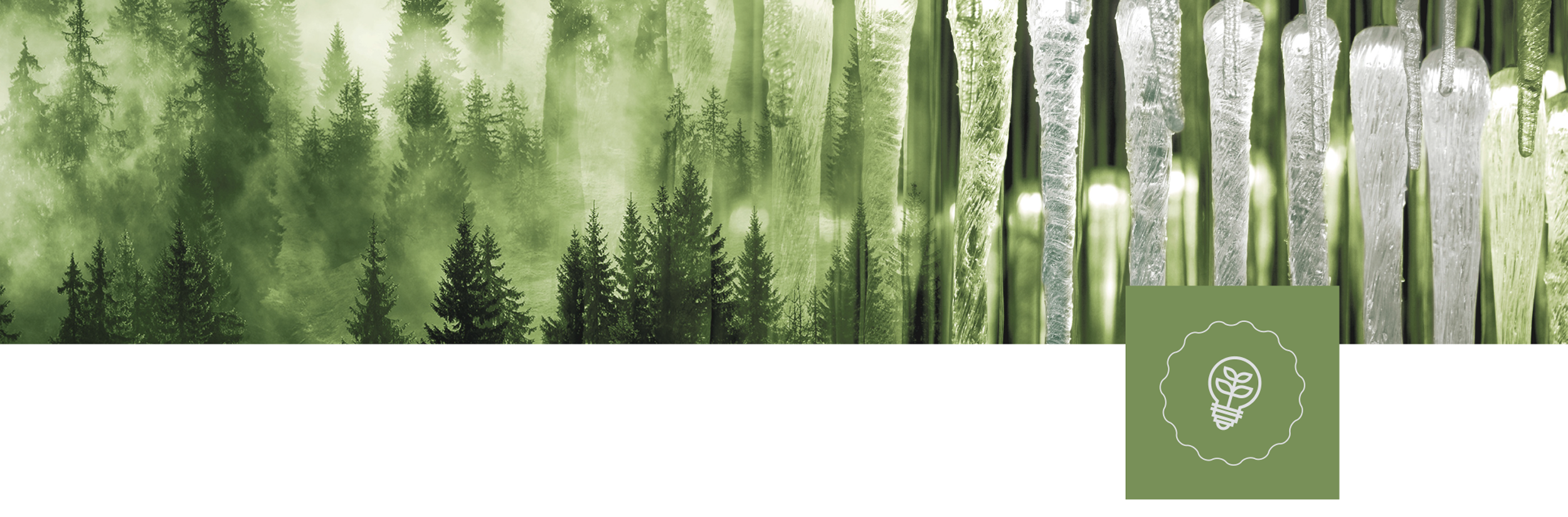 banner-ok
